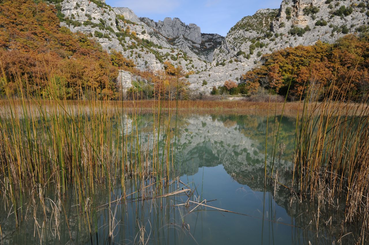 pasdelestangautomne.jpg