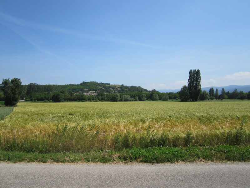 IMG_0011_resize.JPG