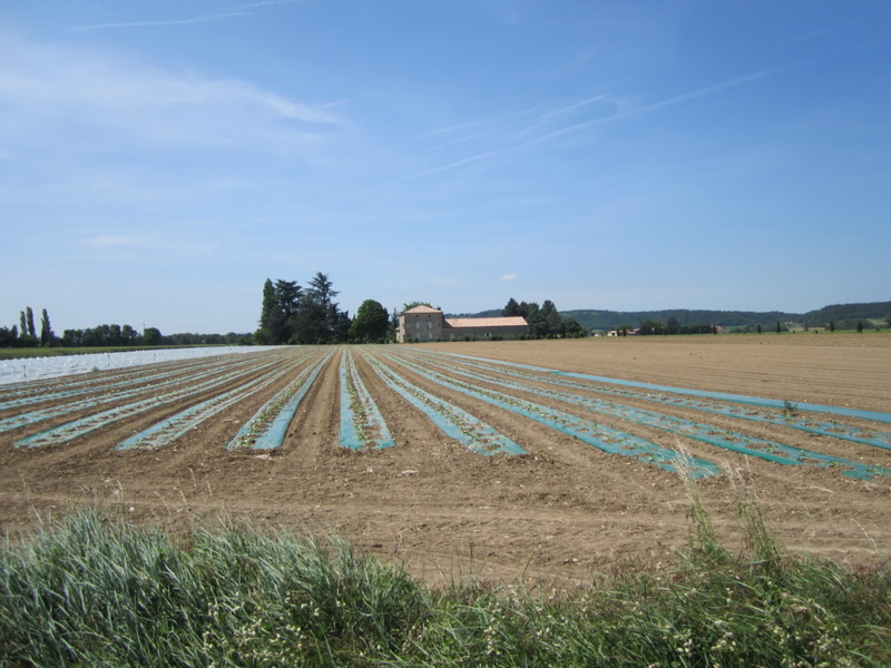 IMG_0012_resize.JPG