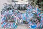 velo cadenas