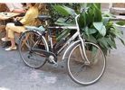 velo vin