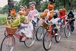 velo marinnettes