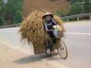 velo chauffant