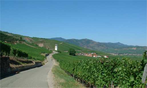 route des vins alsace