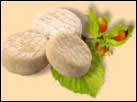 picodon