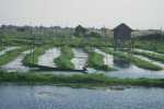 Lac Inle Birmanie