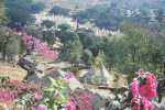 Pindaya