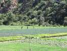 Les andes