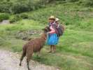Bolivie
