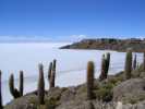 salar