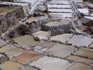 salines