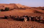 erg chebbi maroc