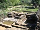 anaradhapura