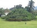 kandy jardin botanique