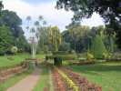 kandy jardin botanique