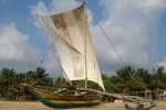 bateau peche