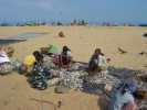 negombo pecheur