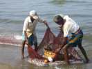 negombo pecheur