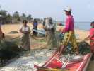 negombo pecheur