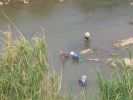 mekong thailande