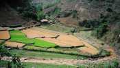 vietnam culture riz