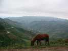 vietnam paysage