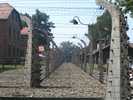 auschwitz