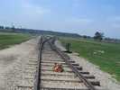 auschwitz