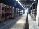 auschwitz
