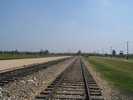 auschwitz