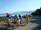 Corse