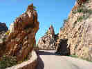 Corse 2007