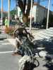 cyclo en bois