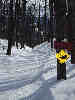 descente neige