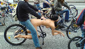 velo homme