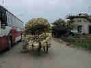 velo abri