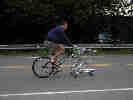 velo caddie