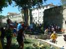 avignon