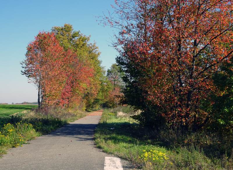 Sur la piste de la Largue