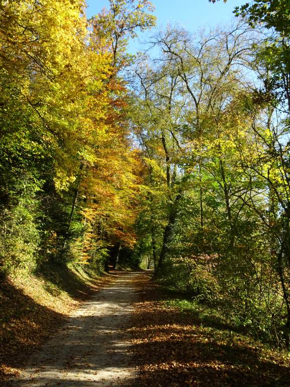 Porrentruy : Fin d'après-midi sur le dernier kilomètre