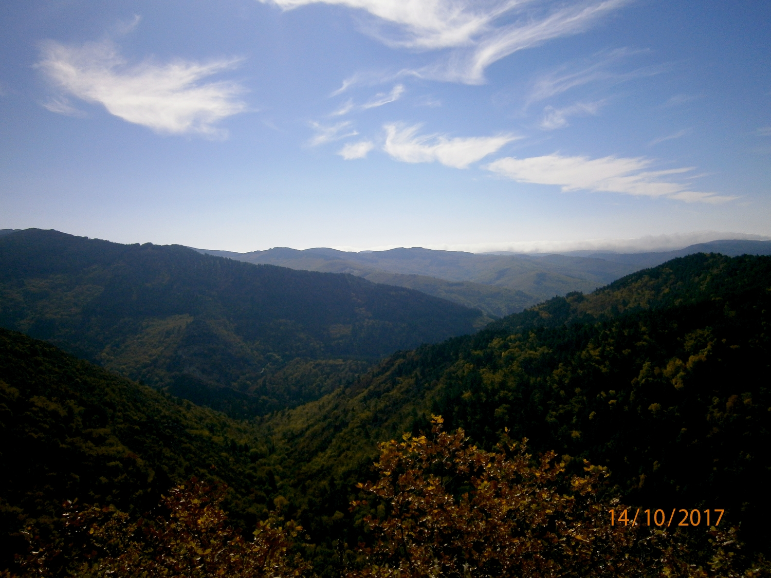 Les gorges de la Dourbie peu avant le col