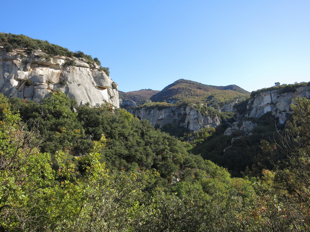 IMG_8415_DPP_Zen.JPG