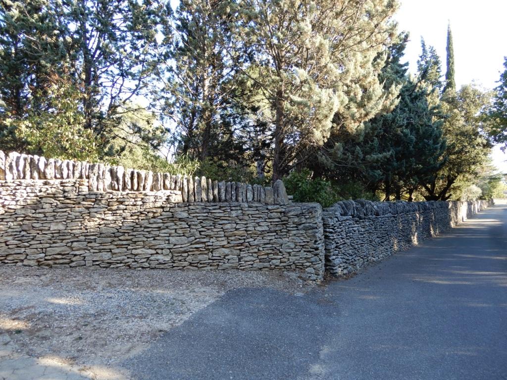 DSCN1276.JPG