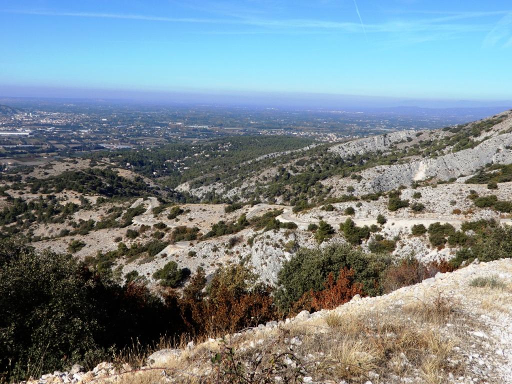 DSCN1264.JPG