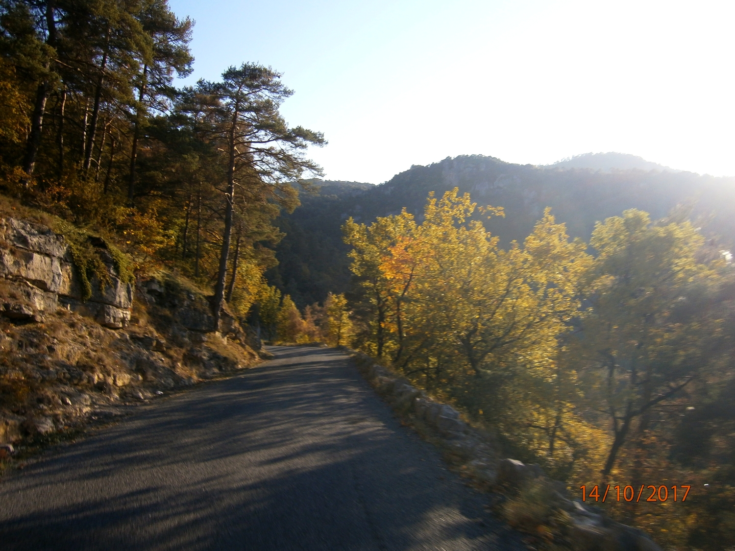 91.jpg
