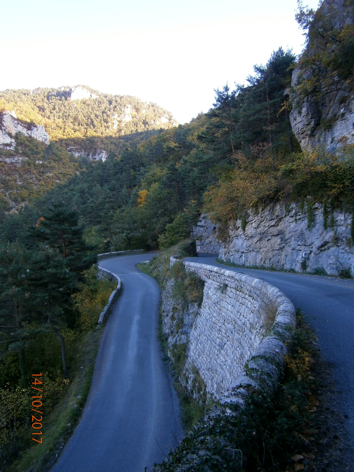 92.jpg
