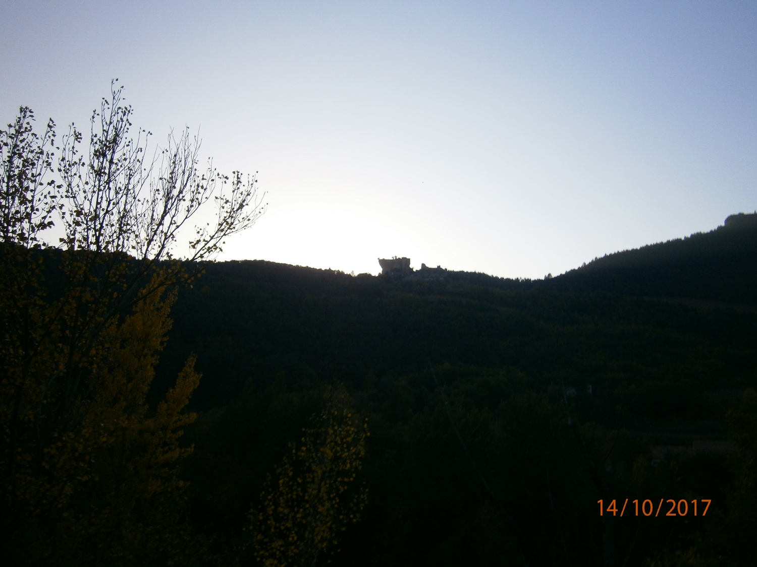 97.jpg