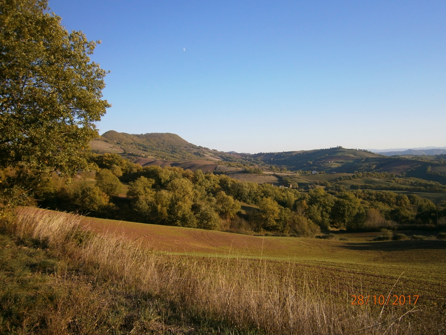 La bordure occidentale de l'avant causse de St Affrique.<br />Reste plus qu'à monter là haut.