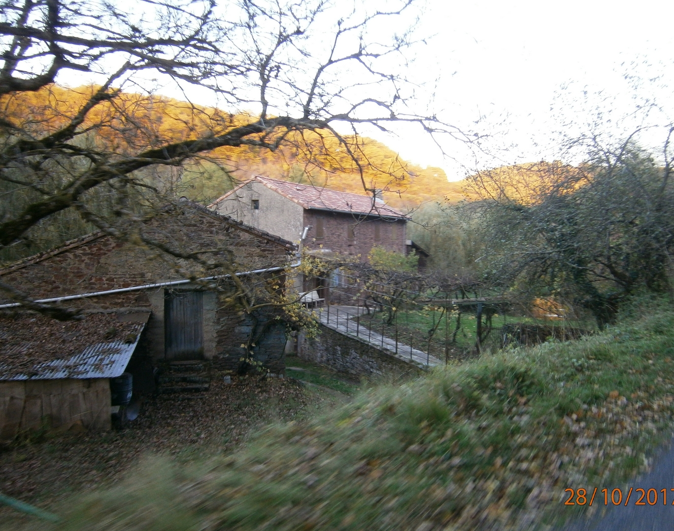 PA280244.JPG