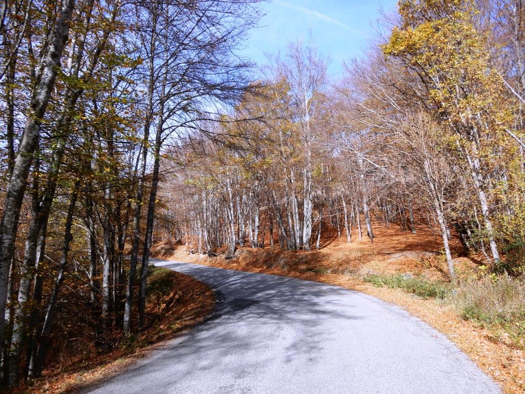 DSCN1355.JPG